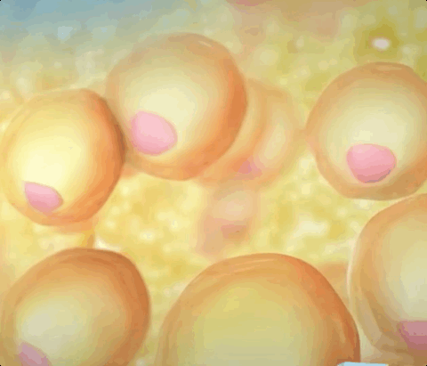 dd8ce78a-68c4-4f36-80ba-84e10b2028a1-1.gif dd8ce78a-68c4-4f36-80ba-84e10b2028a1-1.gif